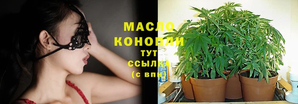 сатива Абинск