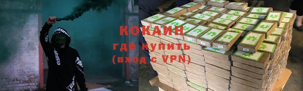 сатива Абинск