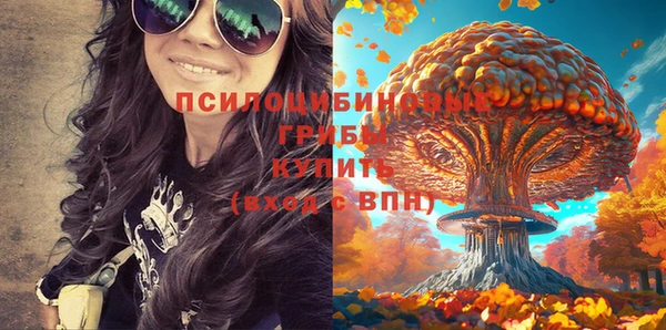 гидропоника Алзамай
