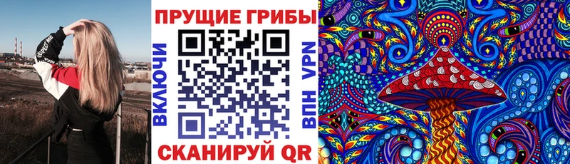 МЕГА tor  сайты даркнета телеграм  Псилоцибиновые грибы MAGIC MUSHROOMS  хочу   Холм 