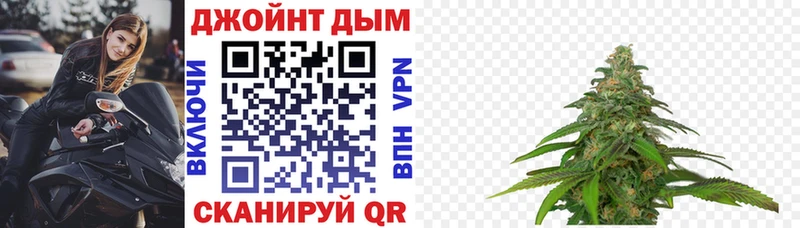 Канабис планчик  Холм 